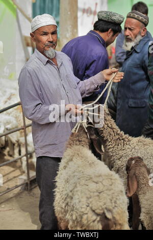 Chien d'élevage gris-blanc barbu avec des moutons dans le marché du bétail de Holan-Xinjiang-Chine-0165 Banque D'Images