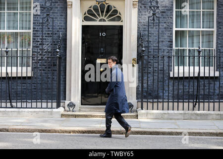 Secrétaire d'État au Développement international et à la direction du parti conservateur contender Rory Steward arrive à Downing Street pour assister à la réunion hebdomadaire du Cabinet. Banque D'Images