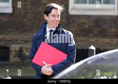 Secrétaire d'État au Développement international et à la direction du parti conservateur contender Rory Steward arrive à Downing Street pour assister à la réunion hebdomadaire du Cabinet. Banque D'Images