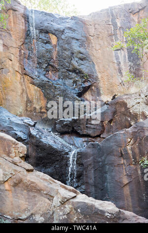 Robin en cascade vers le bas en cascade Falls rocher le Territoire du Nord de l'Australie Banque D'Images