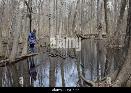 Une adolescente joue dans le bois de forêt marécageuse de l'Mengerson Nature Preserve à Fort Wayne, Indiana, USA. Banque D'Images