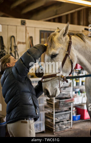 Mid adult woman brushing ses chevaux crinière. Banque D'Images