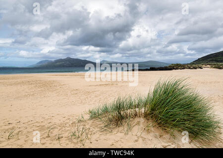 L'herbe des dunes sur une plage de sable à Portsalon, Donegal en Irlande. Banque D'Images