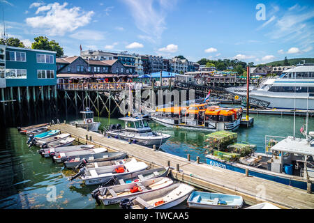 Bar Harbor, ME, USA - Le 19 août 2018 : un yacht à voile croisière le long de la côte de Bar Harbor Banque D'Images