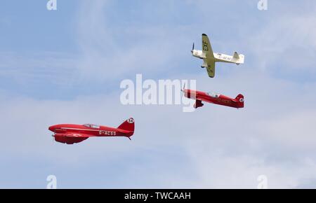 DH88 Comet volant en formation avec 2 Percival Goélands cendrés au 2019 Shuttleworth volants Banque D'Images