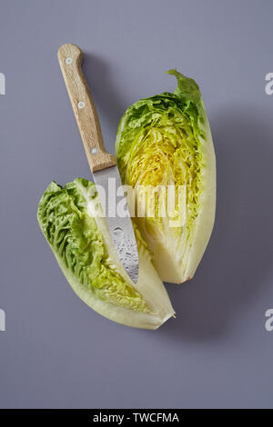 Couteaux de cuisine humide marquée avec une tête tranchée de la Chine ou du chou nappa montrant les feuilles crinkly sur fond gris Banque D'Images