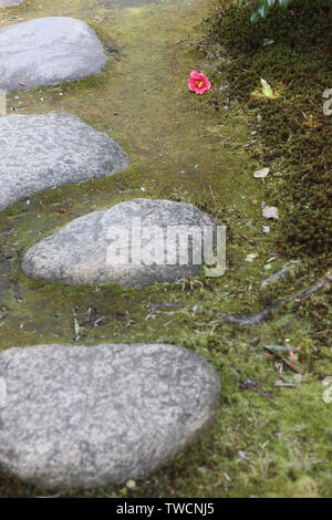 Chemin dans le parc des grandes pierres plates. Banque D'Images
