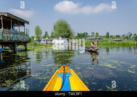 Un homme avec son Cachemire sur shikara Dal Lake, à Srinagar, Jammu-et-Cachemire, en Inde. Banque D'Images