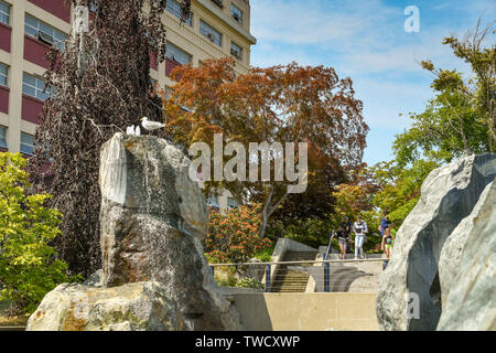 BREMERTON, Washington State, USA - Juin 2018 : parc paysager et de jardins dans le centre de Bremerton, WA. Banque D'Images