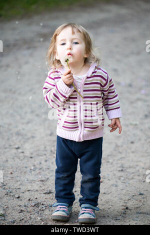 Little girl blowing de pissenlit blanc debout sur fond de plein air Banque D'Images