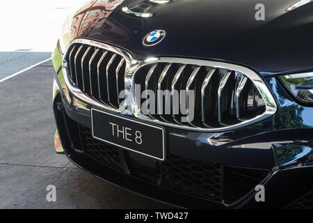 Détail de calandre de BMW M850i Cabrio (BMW série 8). Édition 2019 du parc Valentino Location de voitures show hosts par de nombreuses marques et designers de voiture à l'intérieur du Parc Valentino à Turin, Italie. Banque D'Images