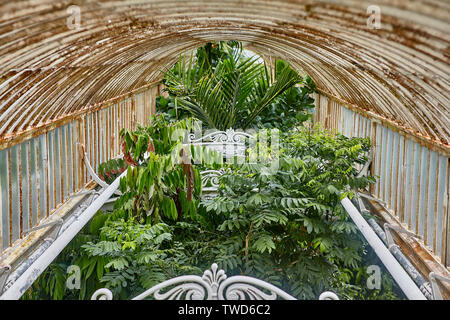 Royal Botanic Gardens, les collections comprennent plus de 28 000 taxons de végétaux vivants, 8,3 millions de spécimens d'herbier des plantes et des champignons. Banque D'Images