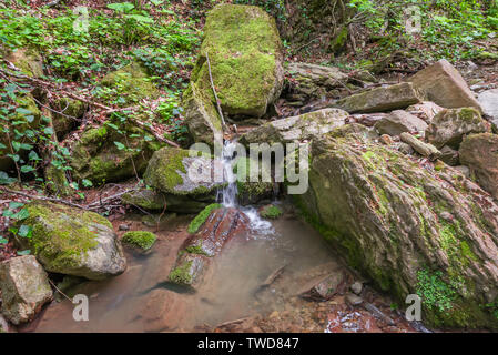 Le ruisseau qui coule entre les rochers couverts de mousse. Focus sélectif. Banque D'Images