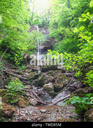 Cascade lumineuse dans les régions forestières. Focus sélectif. Banque D'Images