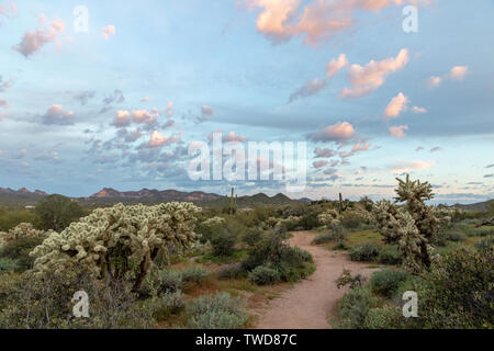 Le soleil du matin s'allume en nuages sur Lost Dutchman State Park près de Phoenix, Arizona, Banque D'Images