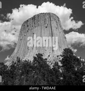 Carré noir et blanc photographie de la formation de roche géologique de Devils Tower national monument au Wyoming, États-Unis d'Amérique, USA. Banque D'Images