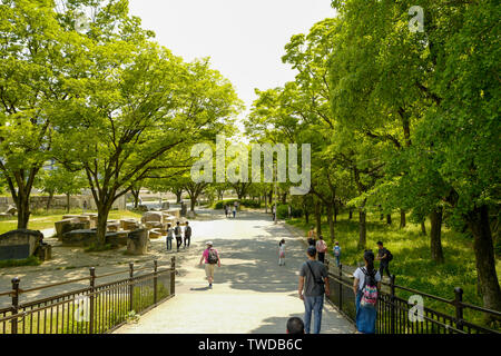 Osaka, Japon, 29th, Mai, 2017. Le parc du château d'Osaka. Le Château d'Osaka est l'un des sites les plus célèbres du Japon. Banque D'Images