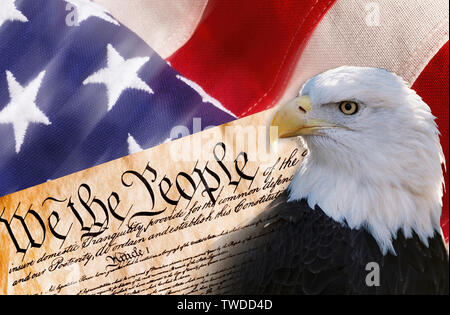 Nous le peuple américain avec l'aigle chauve et drapeau. Banque D'Images