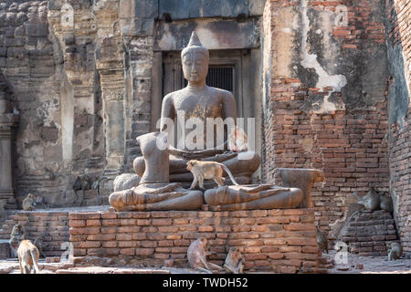 Des singes avec stone sculpture Bouddha religieux bouddhiste ruiné en place, Phra Prang Sam Yoad à Lopburi, Thaïlande Banque D'Images