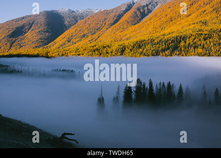 Nuages dans les montagnes Banque D'Images