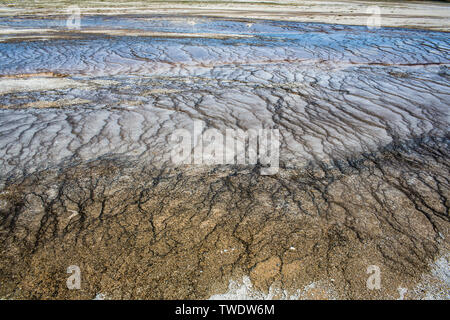 Micro-organismes et d'algues dye les formations rocheuses du grand prisme sources chaudes du Parc National de Yellowstone aux États-Unis dans des couleurs différentes pour former une texture colorée. Banque D'Images