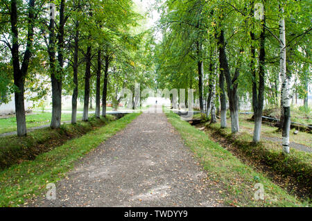 Perm Russie, route de campagne bordée de bouleaux au début de l'automne Banque D'Images