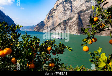 L'orange et orange rouge reflète la Xiaojiang River. Chaque fin d'automne et d'hiver, les oranges des Xilingxia des Trois Gorges sont jaunes et les oranges sont en rouge, faisant de la majestueuse rivière Xiaojiang particulièrement belle. Banque D'Images