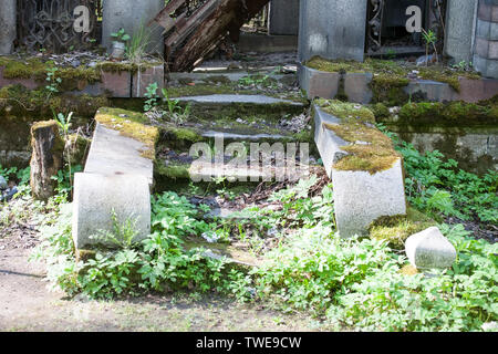 Ancien escalier de pierre pas envahis par l'herbe vue rapprochée sur fond de plein air Banque D'Images