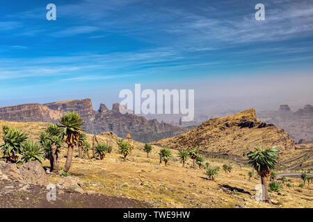 Magnifique panorama de montagnes Semien Parc national du Simien ou paysage dans le Nord de l'Éthiopie, près de Lalibela et Gondar. La nature sauvage de l'Afrique Banque D'Images