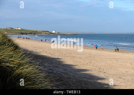 Northumberland est célèbre pour ses vastes plages de sable ouvert. Les visiteurs de prendre une promenade à Lunteren en Grande-Bretagne Banque D'Images