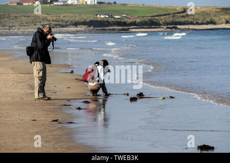 Northumberland est célèbre pour ses vastes plages de sable ouvert. Les visiteurs de prendre une promenade à Lunteren Banque D'Images