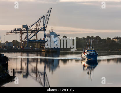 La ville de Cork, Cork, Irlande. 20 Juin, 2019. Un lumineux matin d'été que le chalutier Rose de l'Atlantique à la tête de rivière avec ses captures de crevette qu'elle se décharge à Horgan's Quay à Cork, Irlande. Crédit : David Creedon/Alamy Live News Banque D'Images