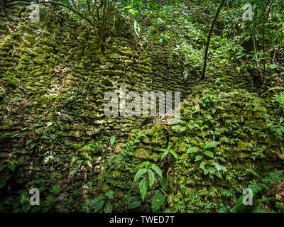 L'INAH Cave National Park situé à Miri Sarawak Division de la Malaisie Banque D'Images