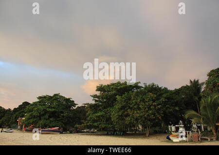 Arbres sur la plage, Langkawi Island, Malaisie Banque D'Images