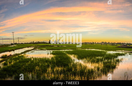 Coucher de Bac Lieu, le Viet Nam, le 19/06/2019 6:29 PM Banque D'Images