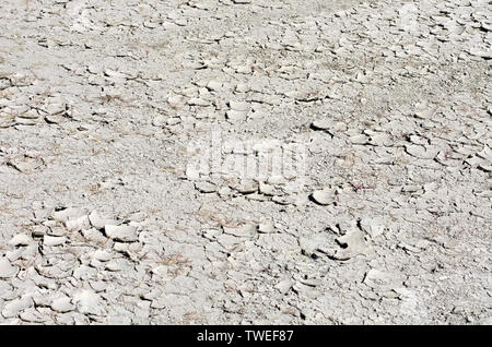 Dans des sols blanchis la période de sécheresse avec l'exfoliation de la surface et de fissures Banque D'Images