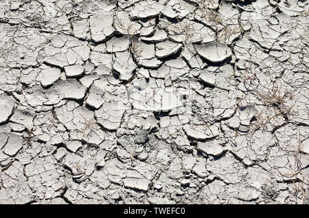 La terre blanchie à sec dans de grandes fissures avec herbe séchée Banque D'Images