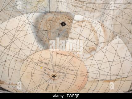 Instrument astronomique Chakra Yantra, l'observatoire Jantar Mantar, Jaipur, Rajasthan, Inde Banque D'Images