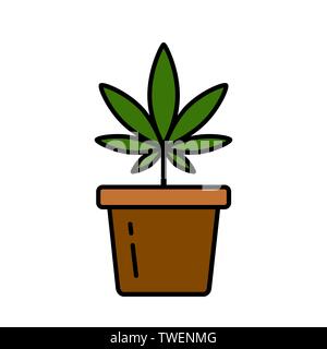 Plante de cannabis dans un pot de fleur. La marijuana médicale. Culture du cannabis. Vector illustration isolé sur fond blanc. Illustration de Vecteur