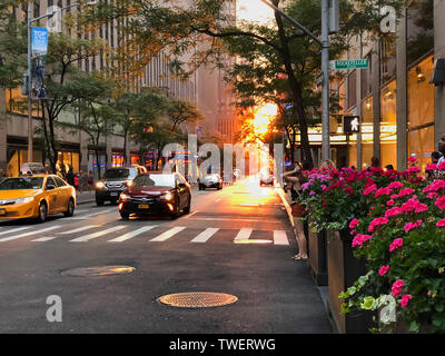 Henge 'Manhattan', le phénomène de l'abandon de W 50e rue à l'été, New York City, New York, USA Banque D'Images