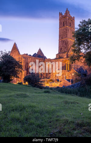 Les ruines de l'abbaye médiévale Quinn Quinn en Irlande, contre un ciel coucher de soleil violet, tourné à travers d'un champ avec les branches d'un arbre à l'avant Banque D'Images