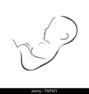Fœtus dans l'utérus avec placenta attaché Illustration de Vecteur