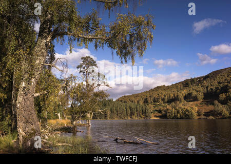 Loch Pityoulish dans le Parc National de Cairngorms de l'Ecosse. Banque D'Images