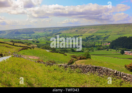 L'agriculture dans la vallée de Farndale sur le North York Moors, England, UK Banque D'Images