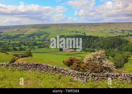 L'agriculture dans la vallée de Farndale sur le North York Moors, England, UK Banque D'Images