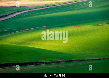 Après-midi d'hiver sur les South Downs dans le West Sussex. Banque D'Images