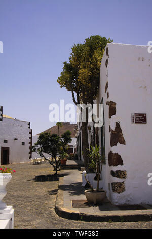 TEGUISE, Lanzarote - juin 3. 2019 : Vue sur rue avec arbres et maisons blanches Banque D'Images