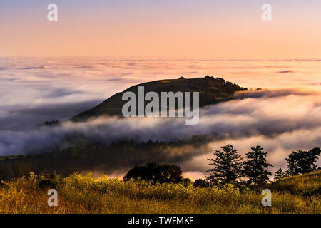 Vue du coucher de soleil du haut de la montagne qui s'élève au-dessus d'une mer de nuages dans les montagnes de Santa Cruz ; baie de San Francisco, Californie Banque D'Images