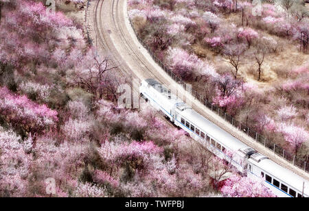 Fer Beijing-Zhang à Beijing, Chine, le train pour le printemps Banque D'Images