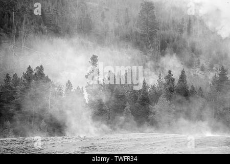 Lever du soleil à travers la brume à Tangled creek de Firehole lake drive, le parc national de Yellowstone Banque D'Images